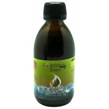 Xarop de Pinya de Avet - Lagrimus - 250 ml